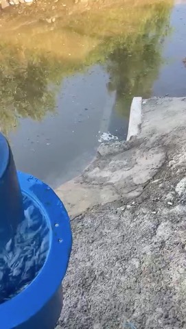 1kw-axial-flow-turbine