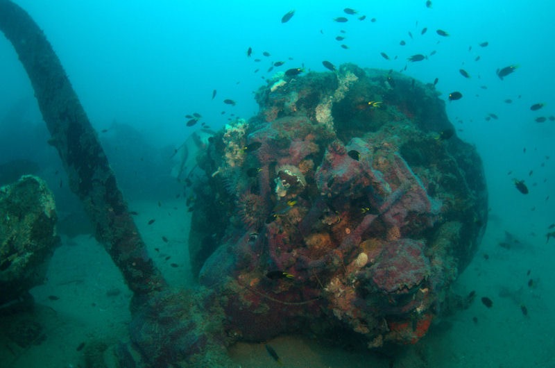 Cataline engine org