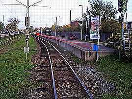 lp300image